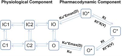 Precision Cardio-Oncology: Use of Mechanistic Pharmacokinetic and Pharmacodynamic Modeling to Predict Cardiotoxicities of Anti-Cancer Drugs